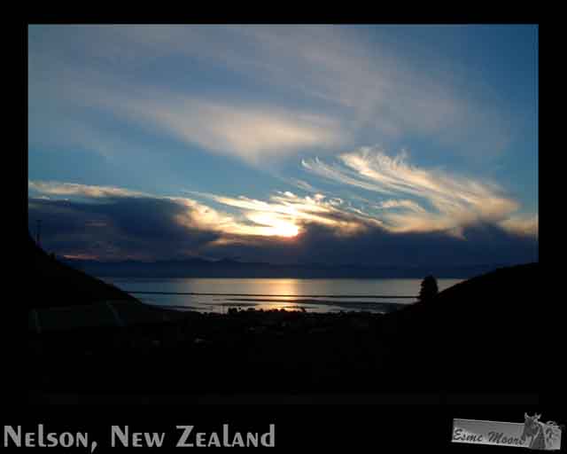 Nelson5
