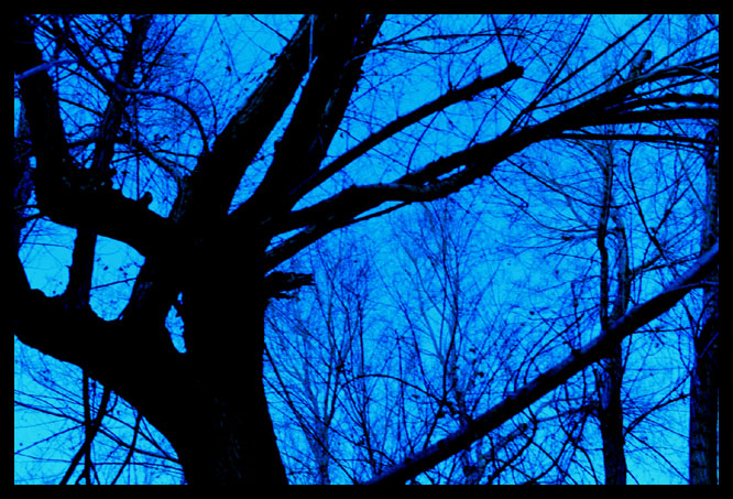 The Blue
