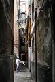 Chef at Do-Forni