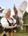 European Eagle Owl