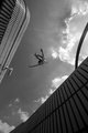 Fly Boy