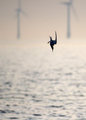 Diver