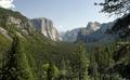 Wonder Valley: Yosemite