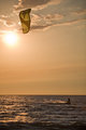 Windsurfer