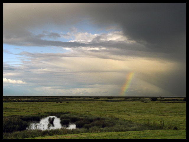 After the Rain