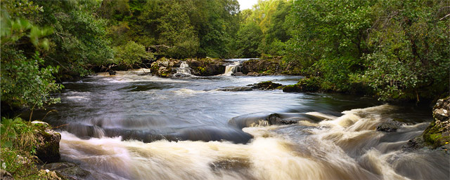 Shin Falls, the salmon's challenge