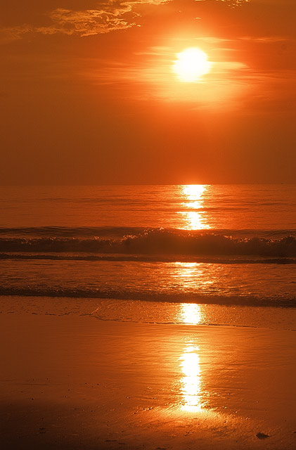 Liquid Gold