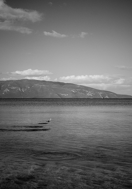 Stone Skim