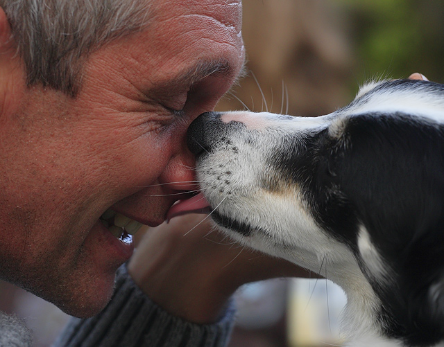 For the love of DOG!