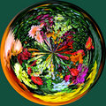Polar Garden