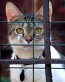 The Prisoner of 22nd Street
