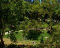A Rittenhouse Square Saturday