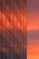 August Sunset