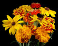 Susans, Zinnias and Marigolds