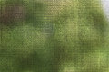 Japanese Maple 4: Mosaic 