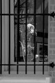 Barred
