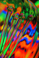 Color Abstract Redux Swizzles