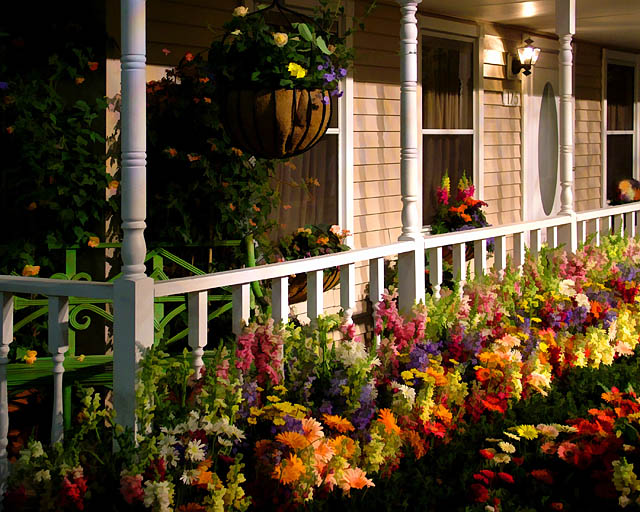 A Few Flowers by the Porch