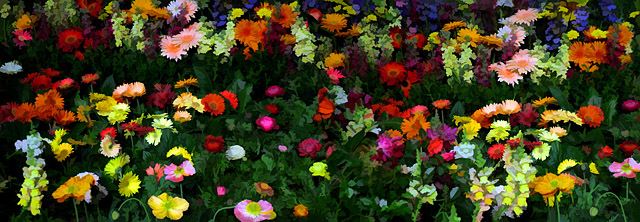 Flower Show Colors IV