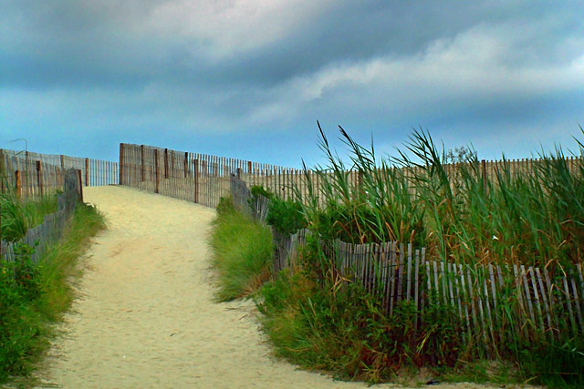 Fences to the Sea