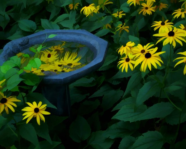 A Bath of Susans