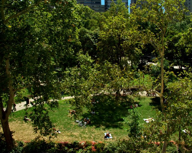 A Rittenhouse Square Saturday