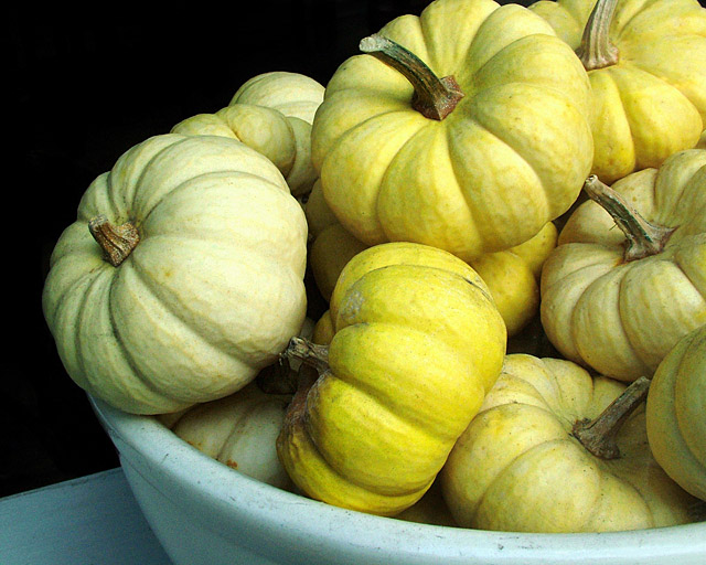 Pumpkins in a Bowl