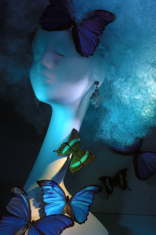 Butterflies and Curls