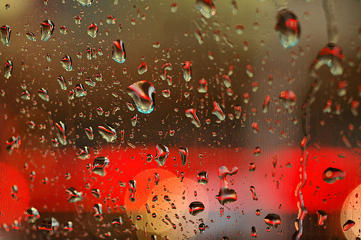 A Colorful April Shower