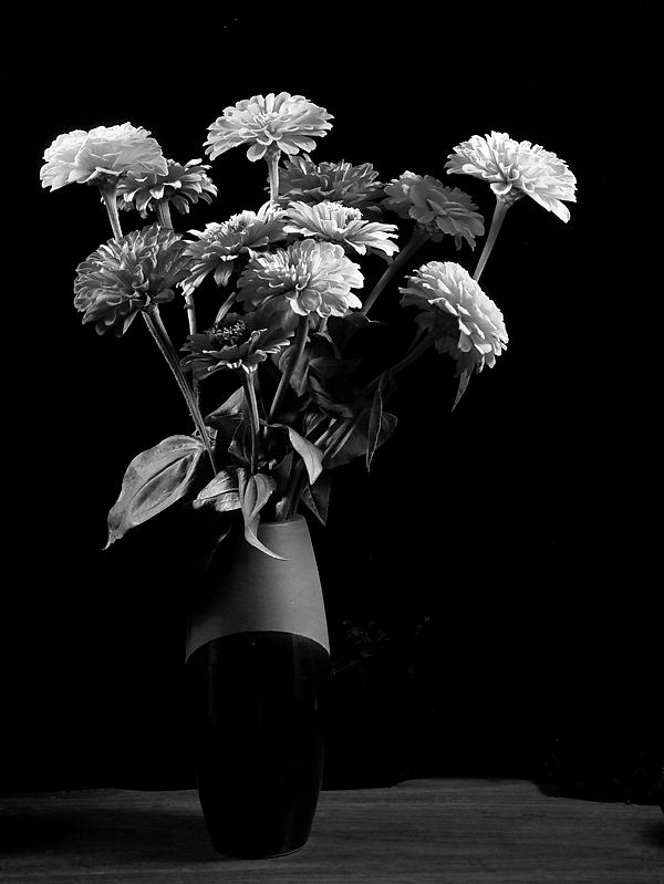 Zinnias in a Vase