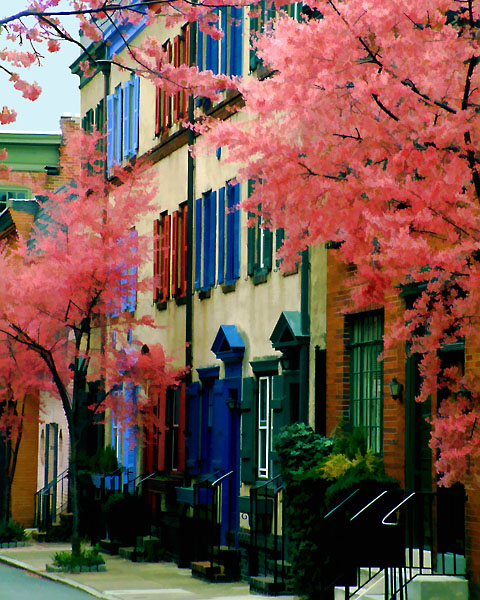 Spring on Van Pelt Street