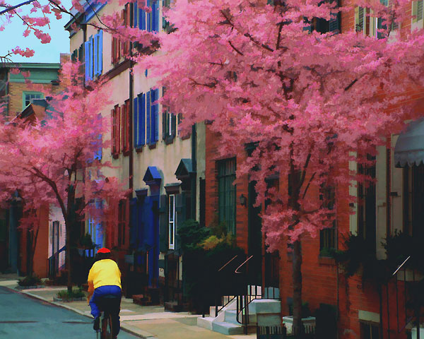 Riding Down Van Pelt Street