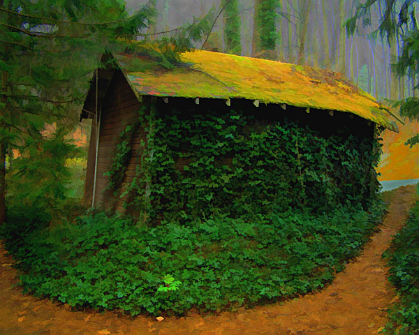 Ruth's Shed on a Gray Day