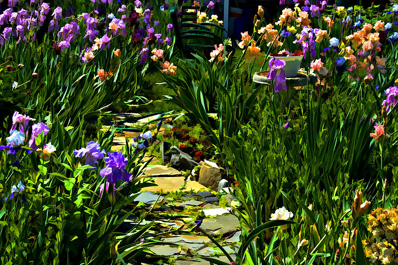 Elaine's Garden II