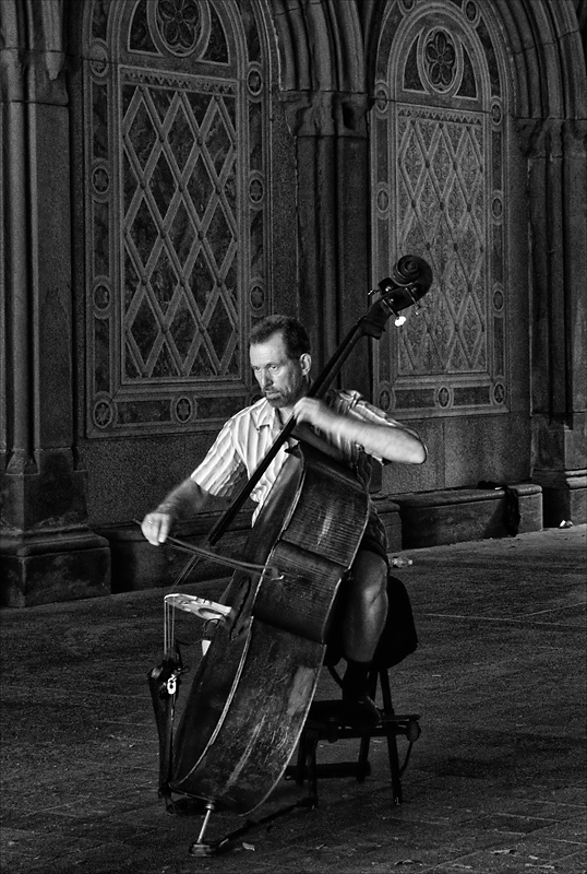 Partita for Double Bass