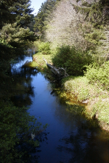 Coastal Creek