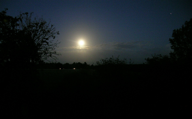 Moonlit