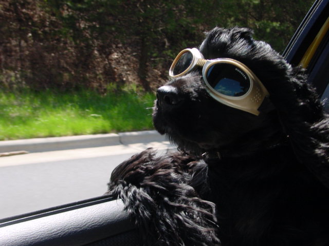 Cool Breeze