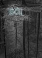 Reflections at the Grave