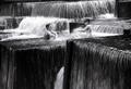 Girls in Fountain PORTLAND.jpg