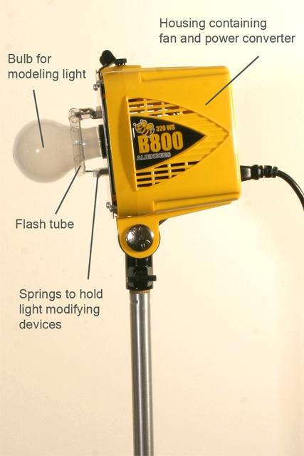 681_8184 - 4x6 - basic flash.jpg