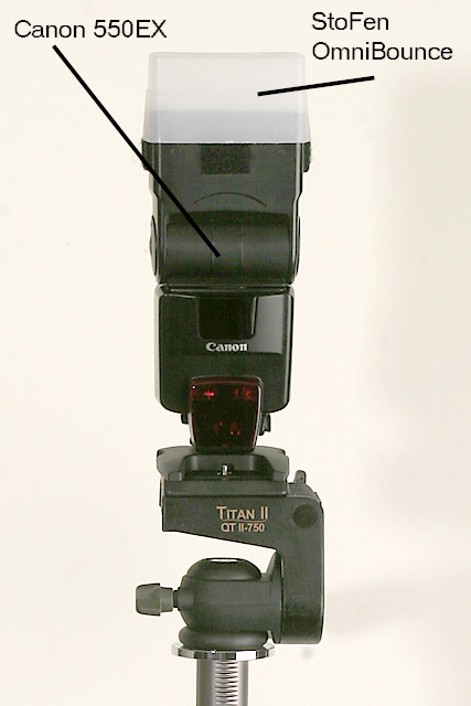 682_8214 - 550EX with StoFen OmniBounce.jpg