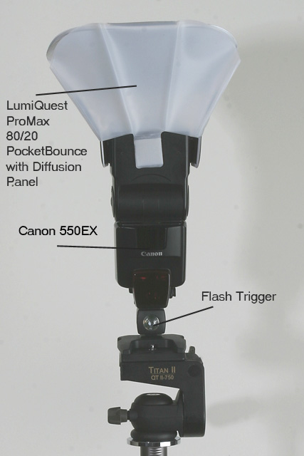 682_8222 - 550EX on flash trigger.jpg