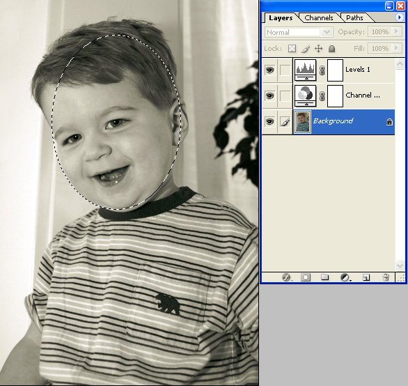 Filter - Adding Blur - Marquee selection.jpg