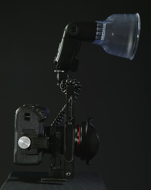 portrait - bottom.jpg