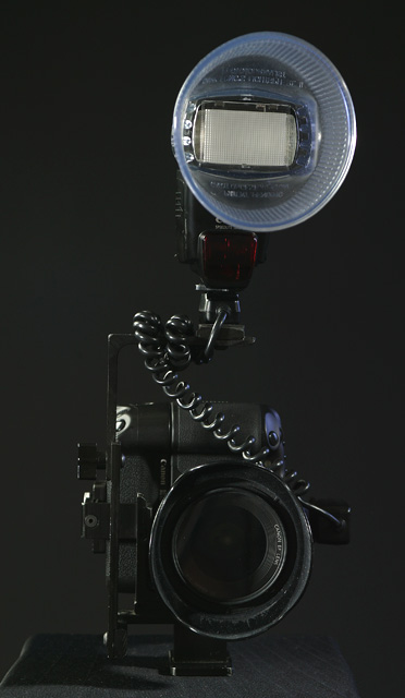 portrait - front.jpg
