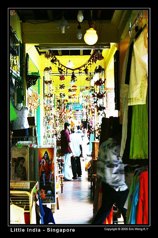 little_india_port_9017_std.jpg