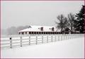 New Farm