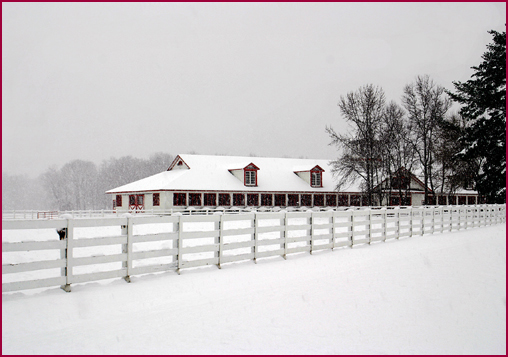 New Farm