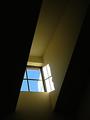 The Window